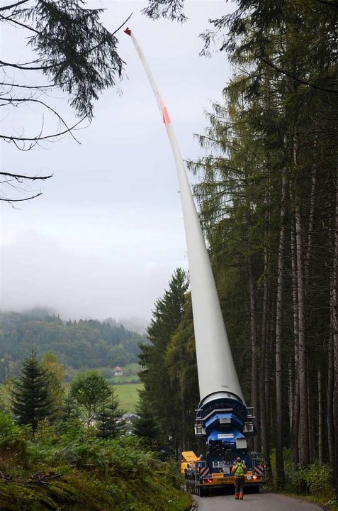 Das Rotorblatt fhrt am Wald entlang.  | Foto: Nikolaus Bayer
