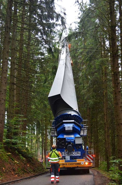 Durch den Wald.  | Foto: Nikolaus Bayer