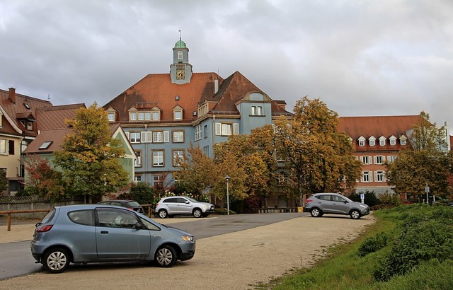 Trbe Aussichten, wenn es um die Donau...kann sich nicht alle Wnsche leisten.   | Foto: Niederberger, Holger