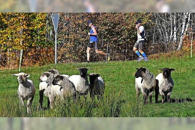 Lang, lnger, Schwarzwald-Marathon