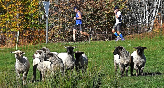Naturnah wie kaum ein anderer Langstre...rzwald-Marathon rund um Brunlingen.    | Foto: Wolfgang Scheu