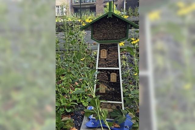 Ein Wasserturm fr Insekten