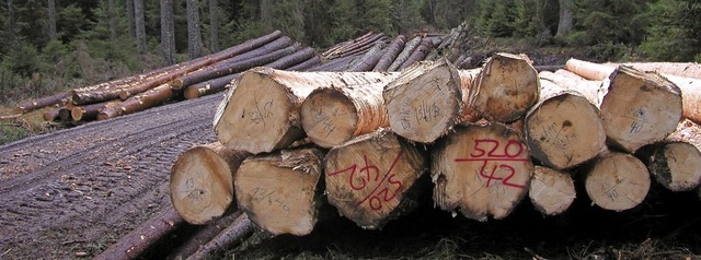 Borkenkfer und  der niedrige Holzprei...halt der Stadt Lffingen zu schaffen.   | Foto: Karl Meister