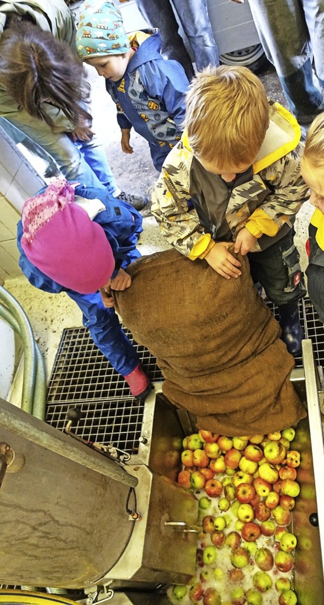 Auf Apfelsaft aus ungespritzten pfeln... ihren eigenen Apfelsaft herzustellen.  | Foto: Martha Weishaar