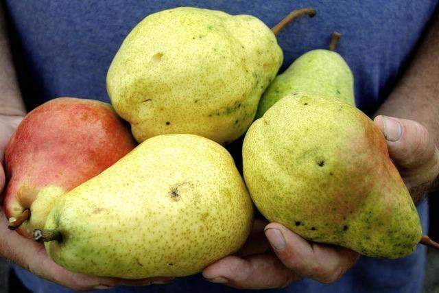 Winzerhof Klaus Baumgartner (Oberbergen)