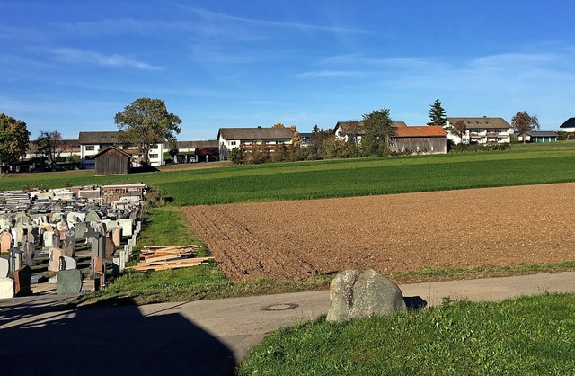 Die Stadt mchte auf dieser Flche im ... Hcklin (links) Baupltze ausweisen.   | Foto: Christa Maier