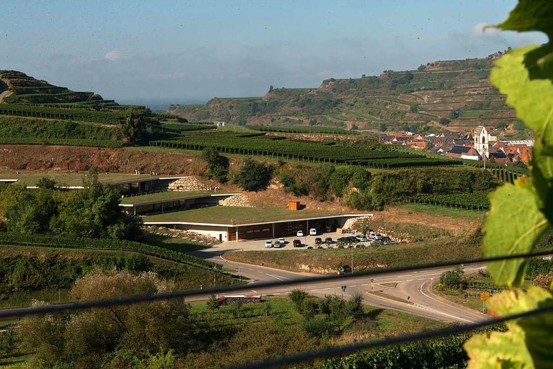 Ein Weingut, &#8222;im L versenkt&#8...aiserstuhl, Baujahr 2013 (Archivbild).  | Foto: Andreas Durst