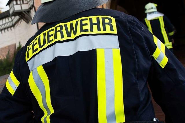 Sattelzug im Gewerbepark Breisgau fngt Feuer