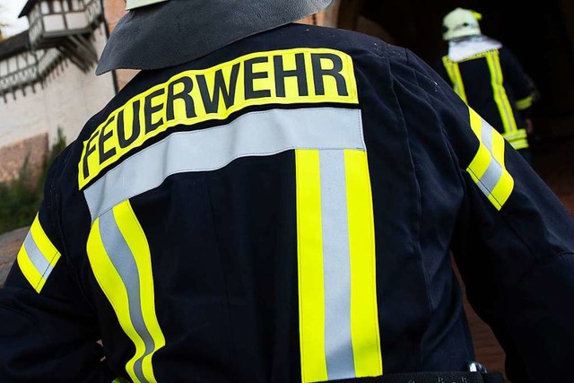Die Feuerwehren aus Hartheim, Eschbach und Bad Krozingen waren im Einsatz.  | Foto: Swen Pfrtner (dpa)