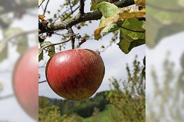 Mehr Geld fr den Kampf gegen das Artensterben