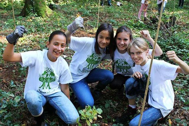 Schüler pflanzen 100 Bäume im Stegener Gemeindewald