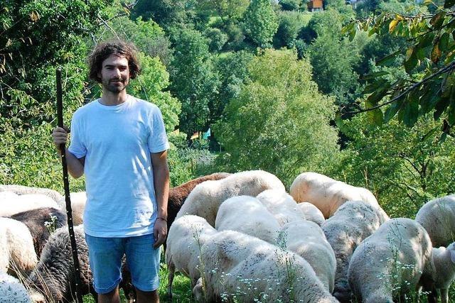 Selbstversuch: Wie idyllisch ist das Leben eines Schafhirten?