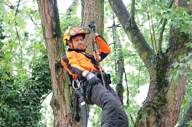 Die Seilklettertechnik bedeutet fr Fe...h mehr Sicherheit und schont den Baum.  | Foto: Lea Breitsprecher