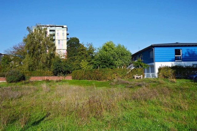 Ein Haus mit 14 Wohneinheiten soll auf...t. Michael-Kindergarten gebaut werden.  | Foto: Horatio Gollin