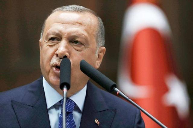 Prsidialamt: Erdogan will nun doch US-Vizeprsident Pence in Ankara treffen