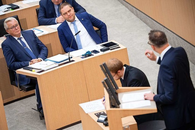 Andreas Schwarz, Fraktionsvorsitzender... im Landtag von Baden-Wrttemberg, an.  | Foto: Sebastian Gollnow (dpa)
