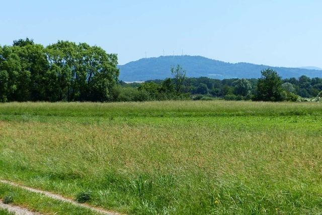 March will bei Holzhausen neues Gewerbe nach altem Plan ansiedeln