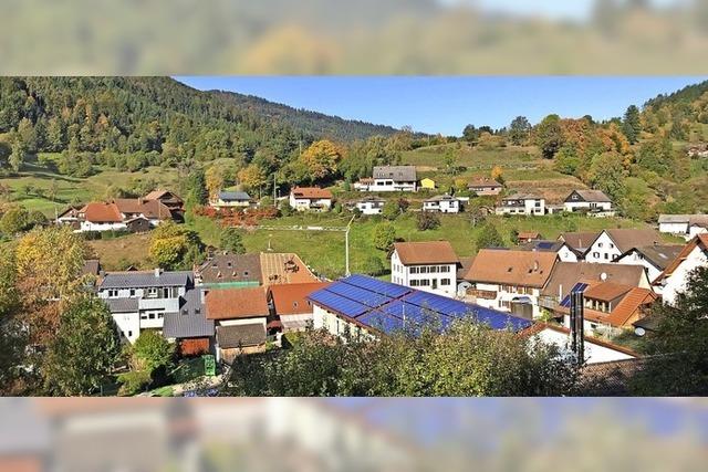 Mit Sonne und Holz zur Energiewende