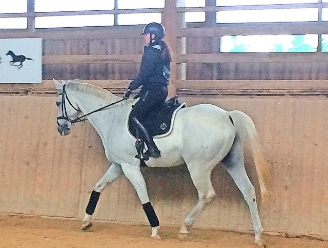 Lynn Eichkorn war auf ihrem Pferd Obelix unterwegs.  | Foto: suedkurier