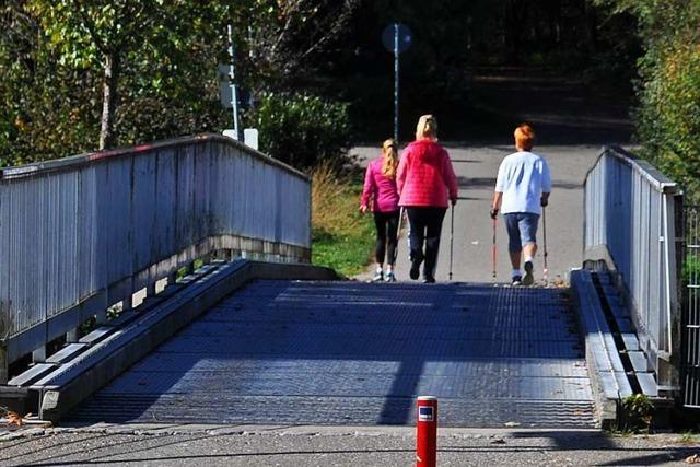 Stadt scheitert im Gemeinderat mit Neubau-Plnen und Umleitung