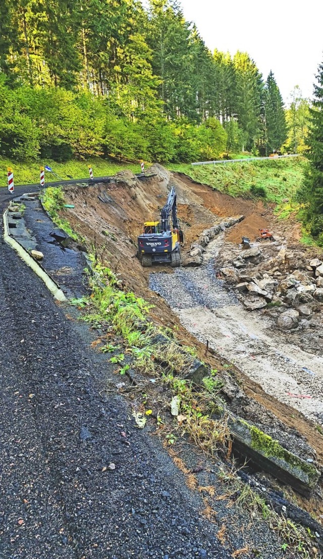 Die Straensanierung Heidenmhle in Ri...genbach soll 2020 fortgesetzt werden.   | Foto: Wilfried Dieckmann