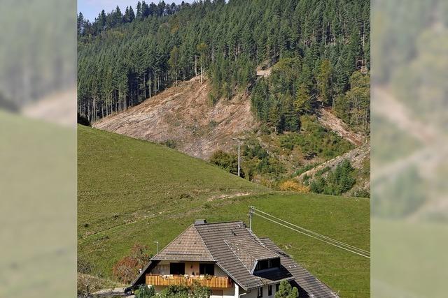 Viele Ziele fr den Wald