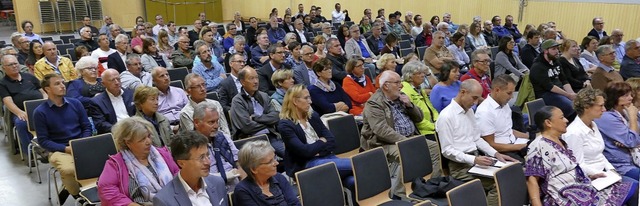 Groes Interesse: Gut 200 Brger waren...auf dem ehemaligen Sportplatz gefolgt.  | Foto: Ulrich Senf