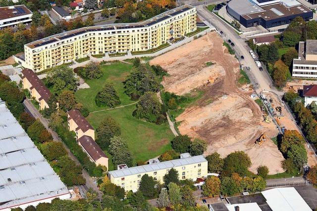 Freiburger Stadtbau testet in Haslach Holzbauweise und konventionelle Bauart