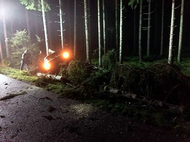 Ein Baum strzte bei einem Unfall auf ...ei wurde die Fahrerin schwer verletzt.  | Foto: Olaf Thor