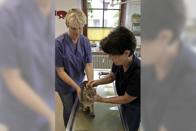 Ein Tag in einer Tierarztpraxis