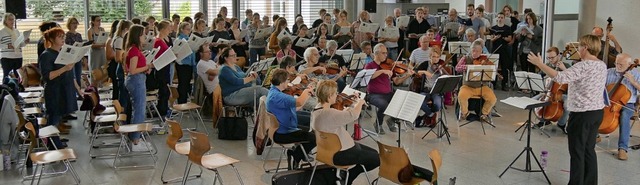 Die Proben fr die Konzerte in Ringshe...n Woche laufen schon seit einem Jahr.   | Foto: Schule