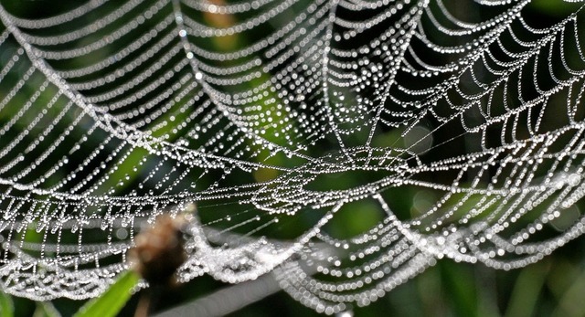 Das  soziale Netz ist im Idealfall so ...rch Zuschsse dazu bei, dass es hlt.   | Foto: Marcus Fhrer