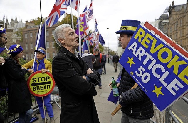 &#8222;Da ist direkte Demokratie in ih...Europischen Union und seinen Folgen.   | Foto: Matt Dunham (dpa)