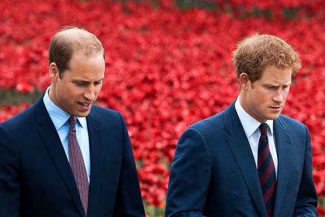 Prinz William und Prinz Harry  | Foto: Will Oliver (dpa)