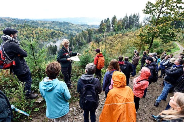 Ortstermin mit Ausblick: Forstamtsleit... der Klimawandel den Wald beeinflusst.  | Foto: Thomas Kunz