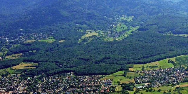 Stadt- und Forstverwaltung sowie Brge... um die Bewirtschaftung des Eichwalds.  | Foto: Stadt Mllheim