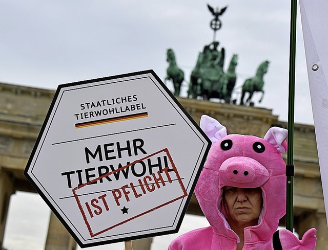 Campact-Demo in Berlin  | Foto: TOBIAS SCHWARZ (AFP)