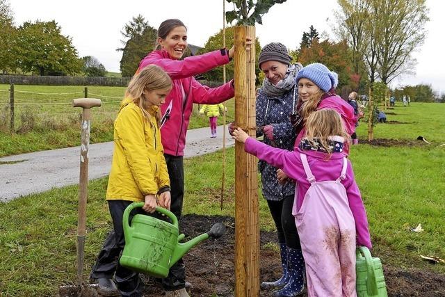 30 Obstbume fr eine klimafreundliche Schule