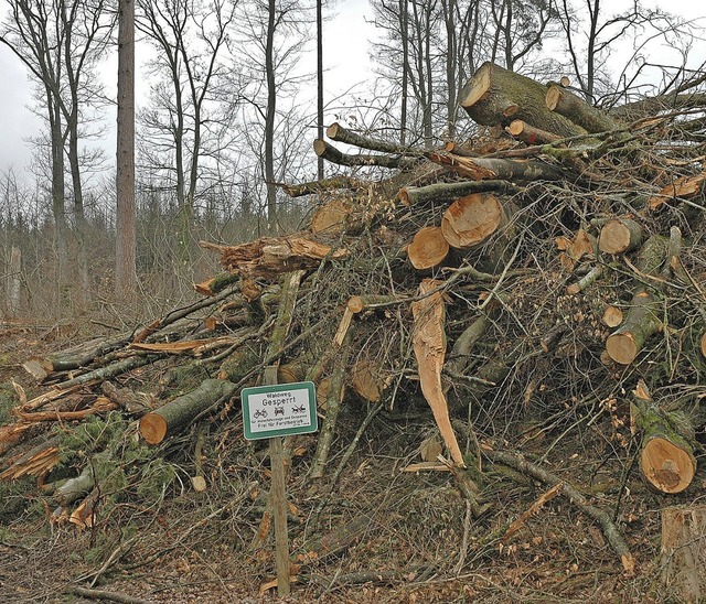 Der Wald auf Hertener Gemarkung macht auch Sorgen.   | Foto: Heinz und Monika Vollmar