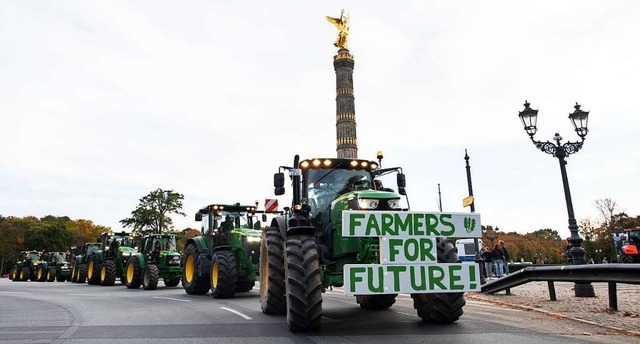 Bauern-Protest in Berlin  | Foto: Bernd von Jutrczenka (dpa)