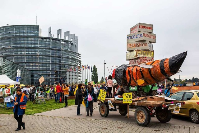 Bauernprotest vor dem Europaparlament  | Foto: Philipp von Ditfurth (dpa)