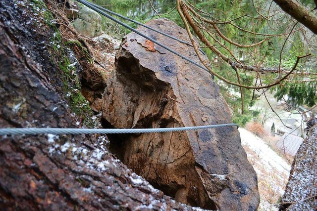 Wie hier an der B317 mssen auch entla... Schlag Sge Felsen gesichert werden.   | Foto: Paul Berger