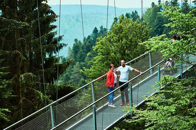 Knnte ein Vorbild fr Todtnau sein: Die 380 Meter lange Brcke in  Bad Wildbad.  | Foto: Nico Pudimat