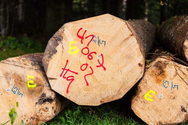 Wie entwickeln sich die Einnahmen aus der Waldbewirtschaftung?  | Foto: Carlotta Huber