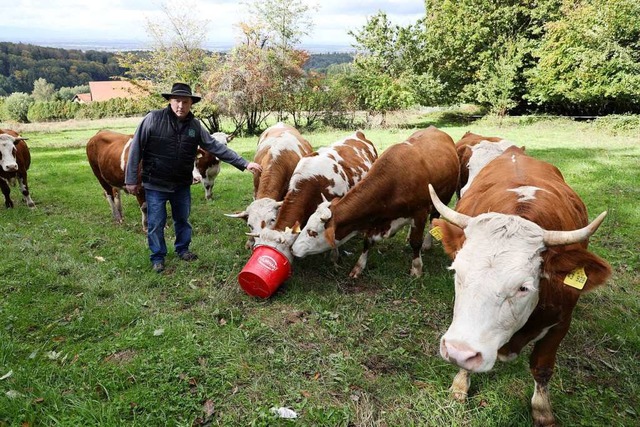 Landwirt Bernd Schmieder und seine Hinterwlder Rinder  | Foto: Christoph Breithaupt