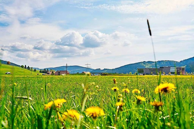 Auf diesem Grundstck an der B 31 in T...aktur der Schwarzwaldmilch entstehen.   | Foto: Schwarzwaldmilch