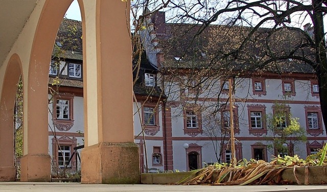 Schlgt weiter hohe Wellen: die Diskussion ums Malteserschloss.  | Foto: Markus Donner