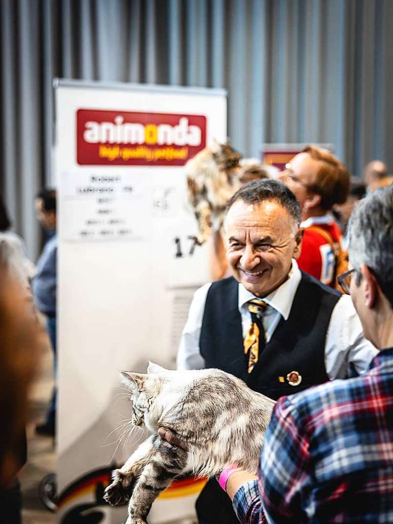 Mehrere Hundert Rassekatzen, Zchter und Katzenliebhaber kamen am Wochenende zur 