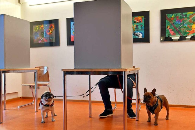 In Thringen sind die Whlerinnen und ...it seinen beiden Hunden ins Wahllokal.  | Foto: Martin Schutt (dpa)