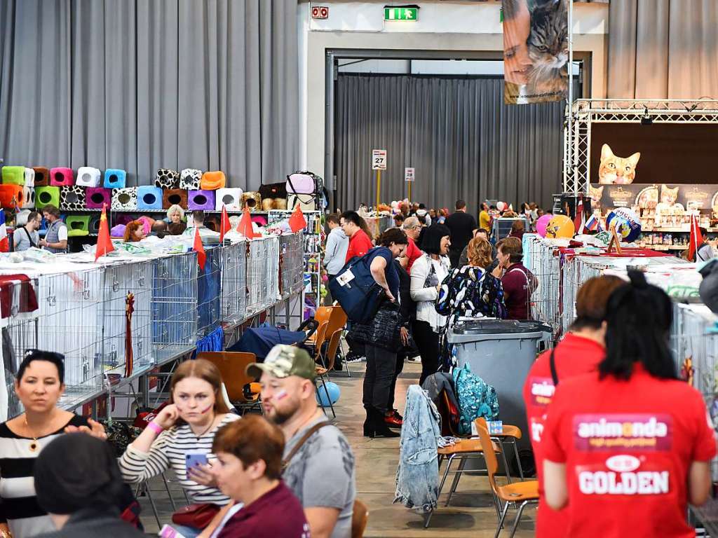 Mehrere Hundert Rassekatzen, Zchter und Katzenliebhaber kamen am Wochenende zur 